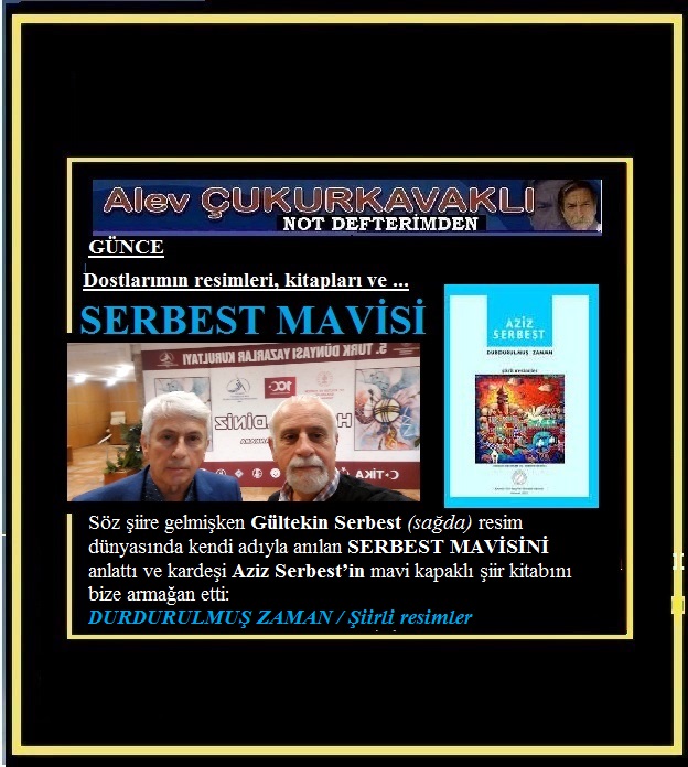 GÜNCE / Dostlarımın resimleri – kitapları ve SERBEST MAVİSİ…